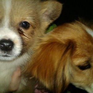 Meet your Posher, Lilly